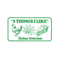 3 Thing I Like Sticker